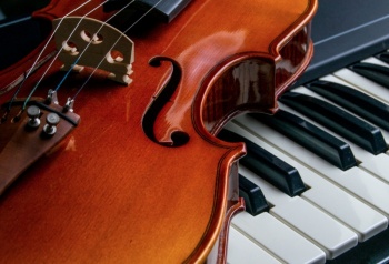 ¿Sab&iacute;as que el cerebro de un violinista no es igual al de un pianista?