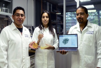 Prote&iacute;na con alto valor nutritivo, invenci&oacute;n universitaria con registro de patente