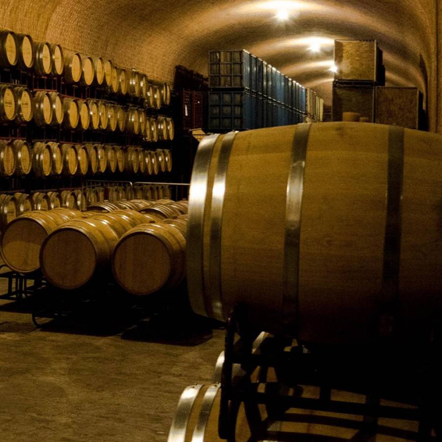 Sectur presenta el Primer Cat&aacute;logo de Rutas y Productos Enotur&iacute;sticos de M&eacute;xico 2022