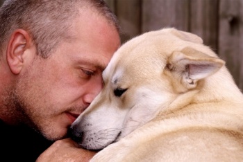 Perros y humanos: una larga historia de afecto, compa&ntilde;&iacute;a y trabajo