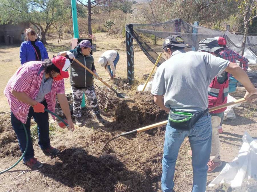 Ofrecerán Huerto-Escuelas cursos educativos para elaborar lombricomposta casera