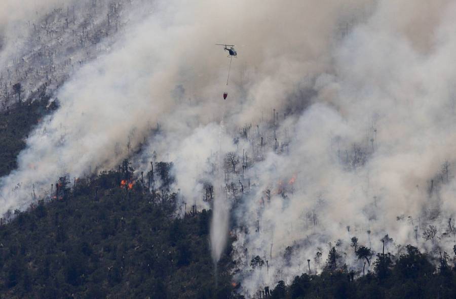 Oaxaca ocupa el tercer lugar en pérdida de bosques por incendios