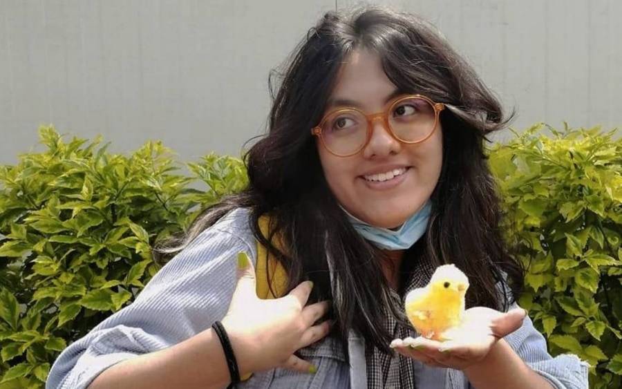 ¿A dónde iría Yaretzi el día de su muerte en vagón del metro?