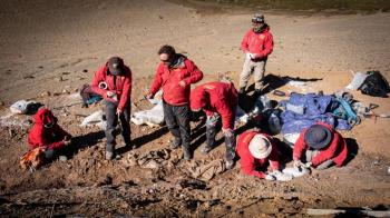 Cient&iacute;ficos se encuentran cuatro tipos de dinosaurios en la Patagonia chilena