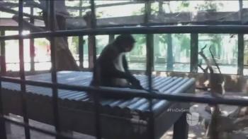 Esta es la mascota ex&oacute;tica que delat&oacute; a Ovidio