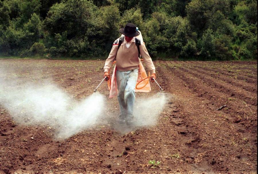 M&eacute;xico, EEUU y Canad&aacute; fortalecer&aacute;n regulaci&oacute;n sobre plaguicidas agr&iacute;colas