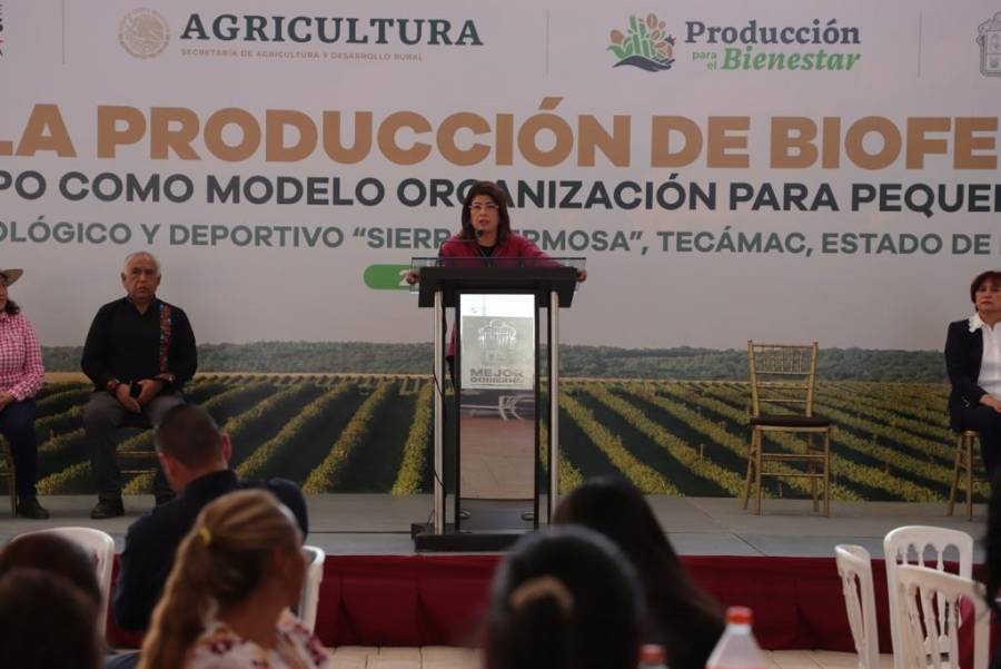 Replican proyecto de AMLO sobre autosuficiencia alimentaria