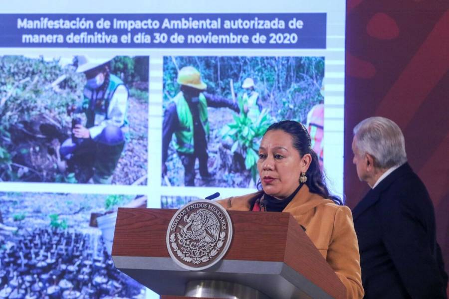 Más de 64 mil especies de flora y dos mil de fauna han sido rescatados en el Tren Maya