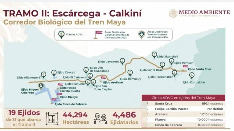 Obra de tren Maya genera la investigación más grande sobre esta civilización
