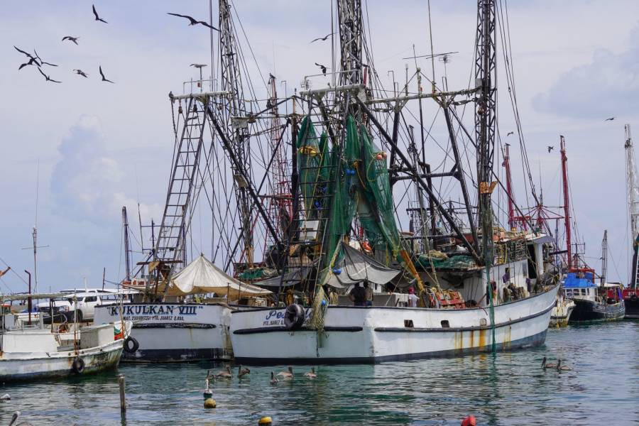 Busca subcomité de Pesca Zona Sur del Golfo mejorar la calidad de vida de pescadores