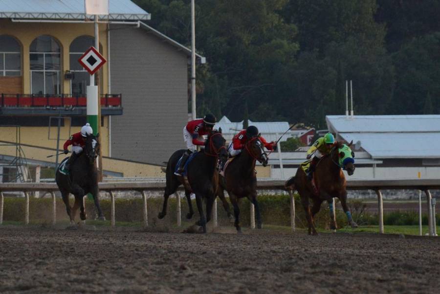 Acusan al Hipódromo de tranzas en la entrega de apuestas