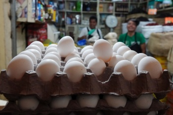 Crecen 108 % los decomisos de huevos y aves de corral de contrabando