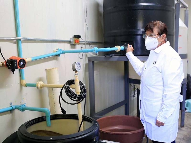 UAM desarrolla filtro para limpiar red de agua potable en Iztapalapa