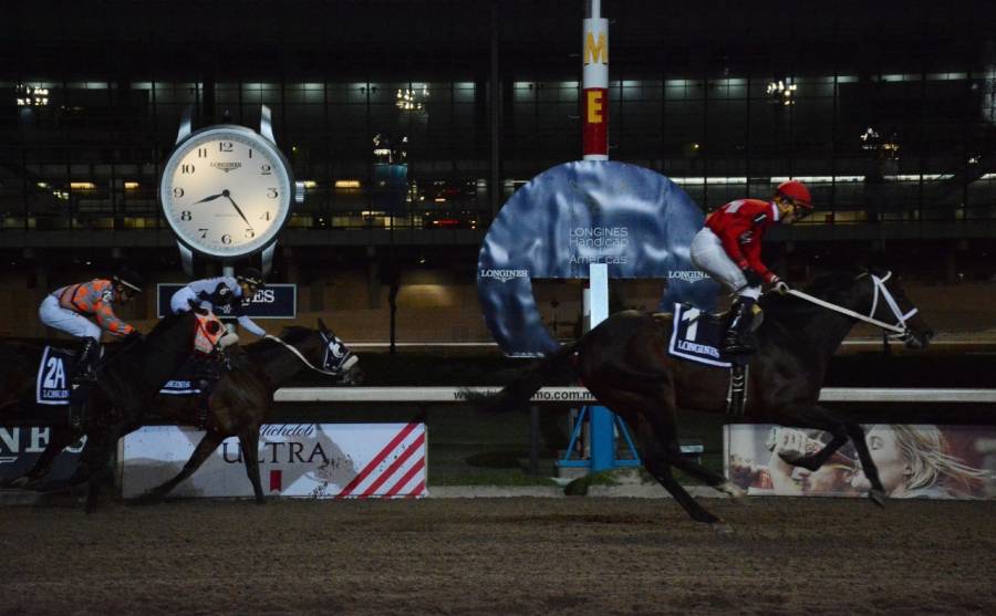 Hipódromo de las Américas sufre declive laboral