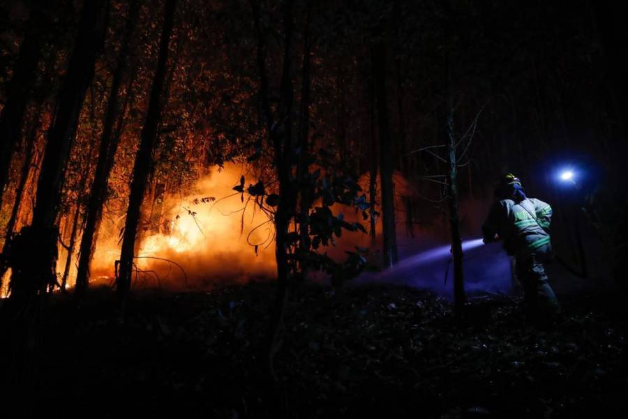 Los incendios en Chile cumplen una semana sin control pese al combate incesante