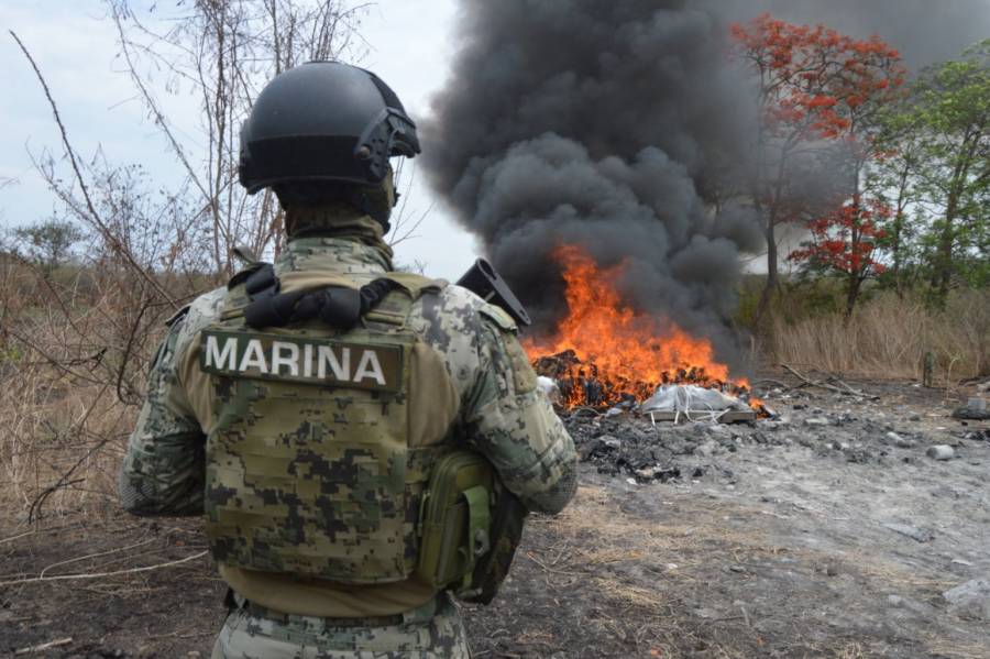 Quintana Roo ha incautado más de 247.3 kilos de narcóticos