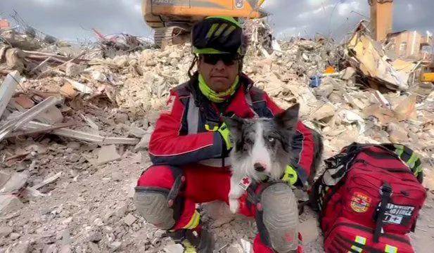 Perrito rescatista de Querétaro encuentra con vida a persona en Turquía