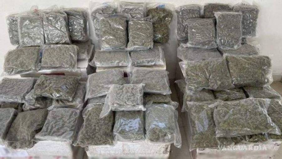 GN decomisa cien embarques con mariguana en 10 estados del país