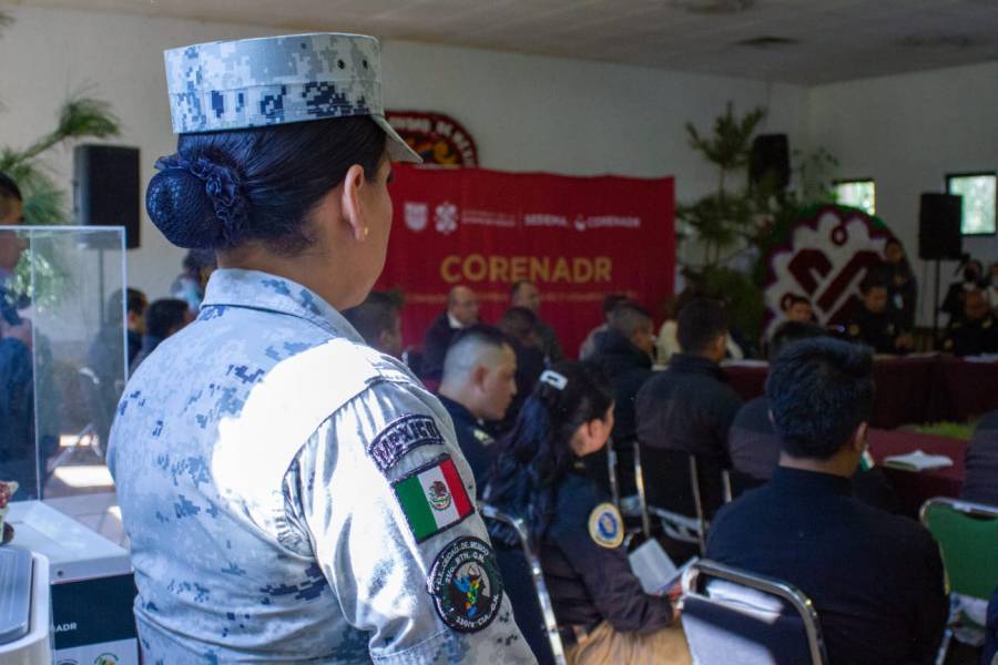 Suman fuerzas Sedema, Profepa, SSC, Guardia Nacional y Sedena para hacer frente a tala ilegal