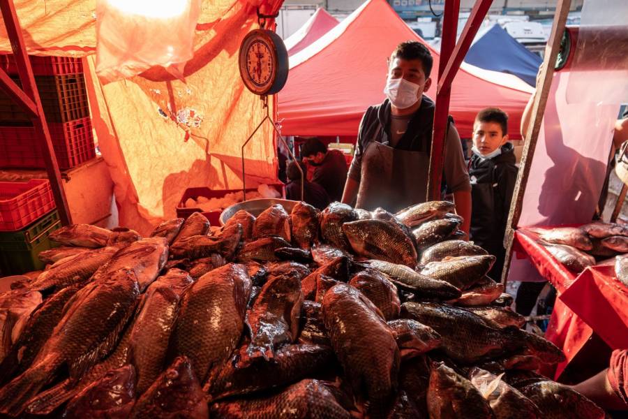 Inician operativos de sanidad en el mercado de La Viga