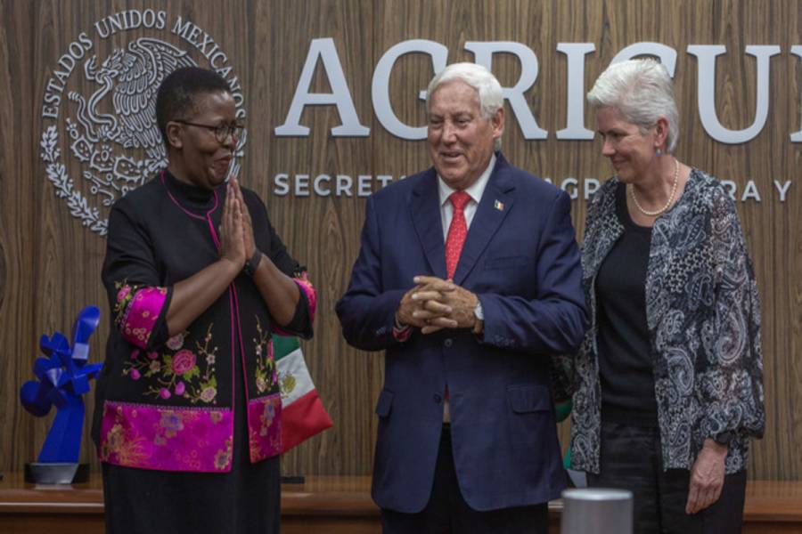 Replicarán países africanos experiencias agrícolas de éxito en México