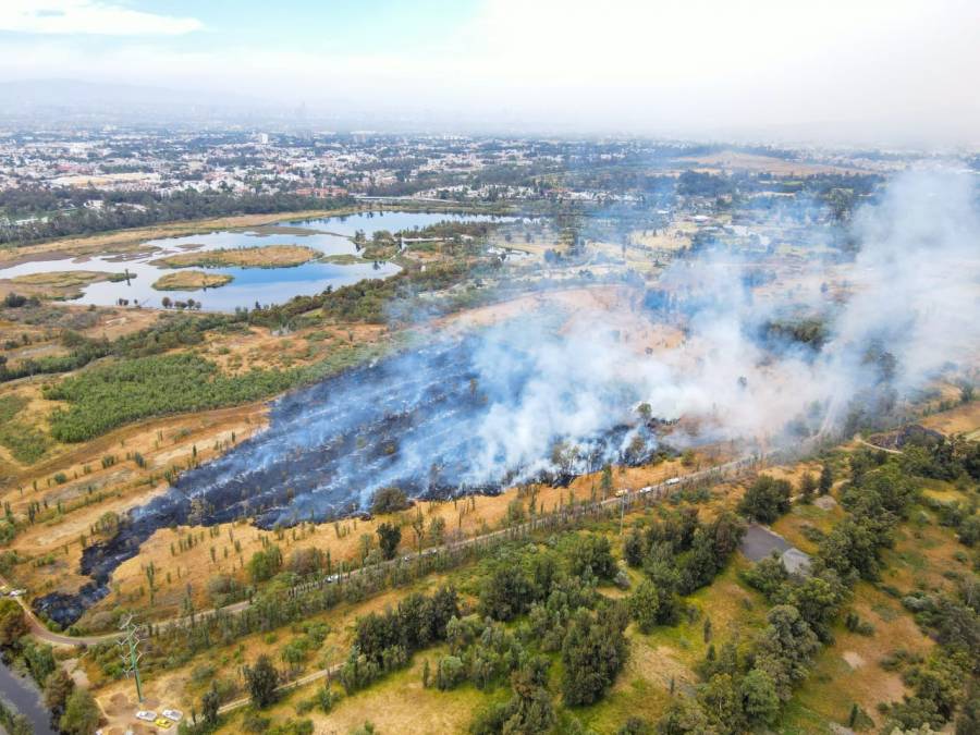 Fuerte incendio consume 10 hectáreas del Parque Ecológico de Xochimilco