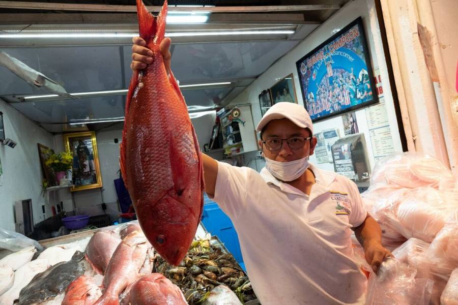 Invita Agricultura a consumir pescados y mariscos durante la temporada de Cuaresma y Semana Santa