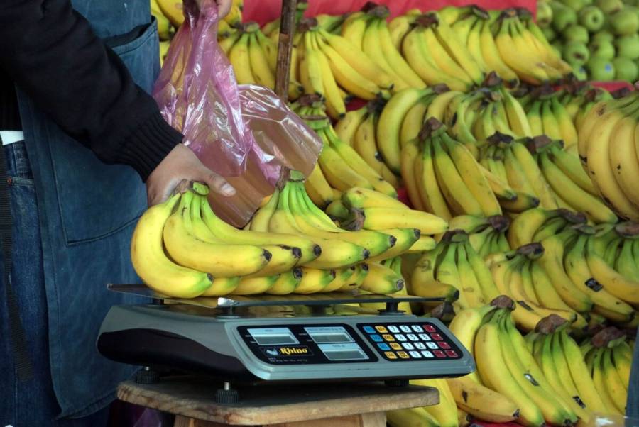 Agricultura y productores impulsan comercio sano y seguro de frutos frescos