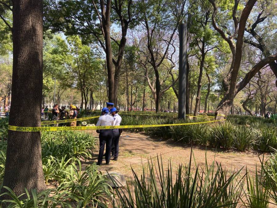 Encuentran cadáver en la Alameda Central