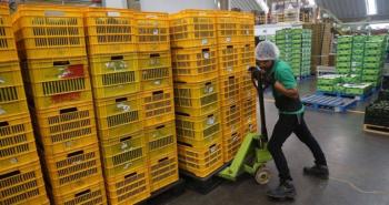 Inicia M&eacute;xico con el pie derecho exportaciones agropecuarias