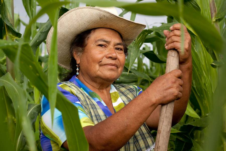 Contribuye trabajo de las mujeres en el campo a la seguridad alimentaria de México
