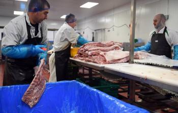Crece 12.8% exportación de carne de cerdo de México a Japón: Agricultura