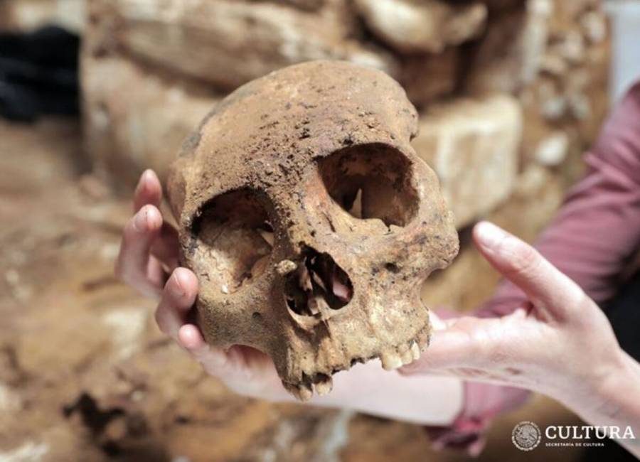 Reportan el hallazgo de una cámara funeraria en Palenque durante trabajos del Tren Maya