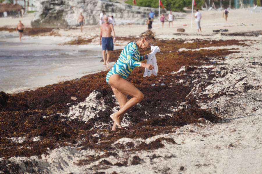 Costa yucateca se ha llenado de se sargazo en las últimas semanas, poco antes de Semana Santa