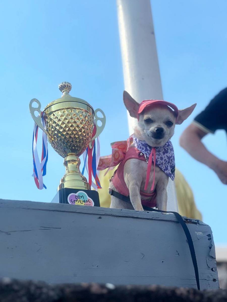 Corren en Coyoacán familias y perritos en primer Maratón Canino