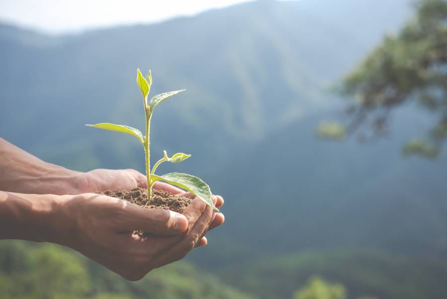 Según una estimación de Beeok, menos del 5% de las empresas en Latinoamérica miden y gestionan su huella de carbono