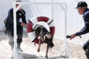 Embajada de EUA dona equipamiento a la Unidad Canina de POES