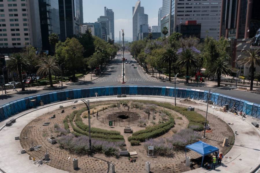 Nuevo Ahuehuete será plantado en Glorieta de Paseo de la Reforma