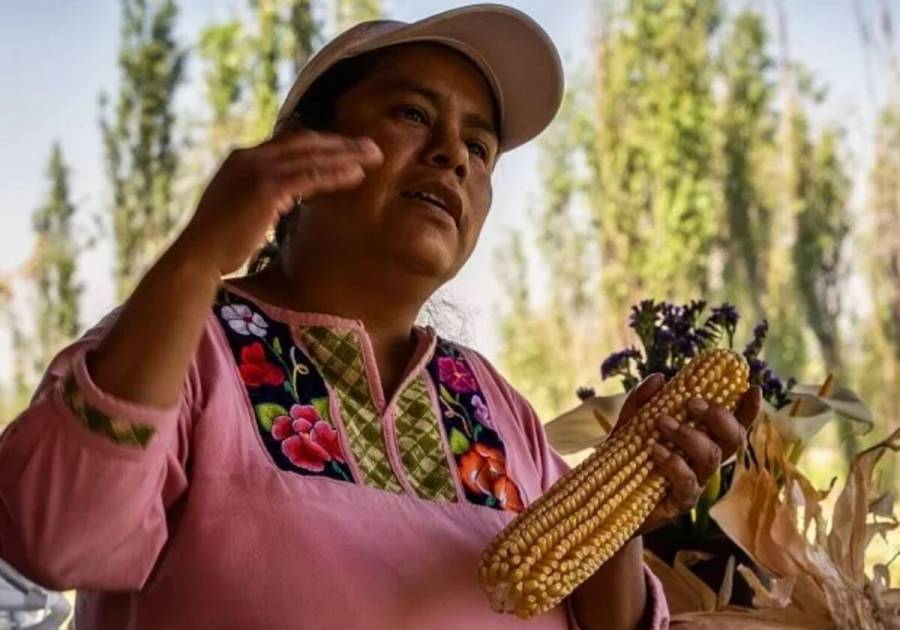 Más de 20 iniciativas de CDMX ya operan con nuevo modelo de turismo responsable