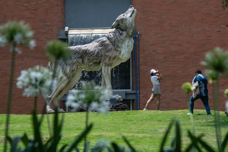 Con tercera línea del Cablebús todos podrán visitar Chapultepec, señala Sheinbaum