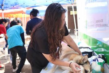 Buscan evitar abandono de mascotas en &Aacute;reas Naturales Protegidas