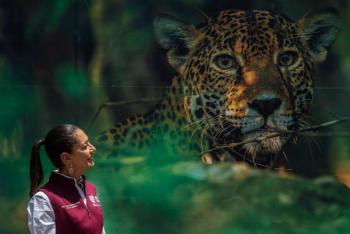 Zoológico de Chapultepec cumple cien años, así lo festeja la CDMX
