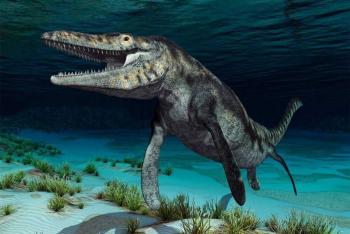 Fascinantes criaturas prehist&oacute;ricas en los mares mexicanos