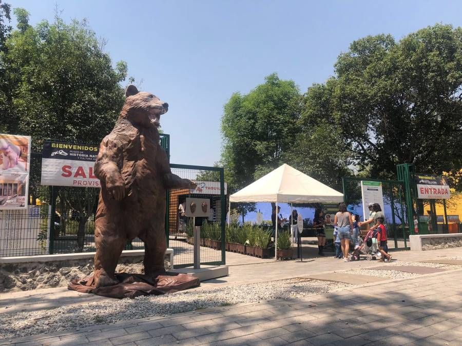 Museo de Historia Natural en Chapultepec se encuentra en la tercera fase de su proceso de renovación