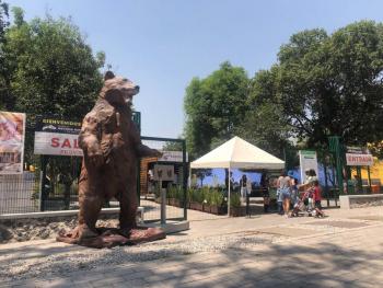 Museo de Historia Natural en Chapultepec se encuentra en la tercera fase de su proceso de renovaci&oacute;n
