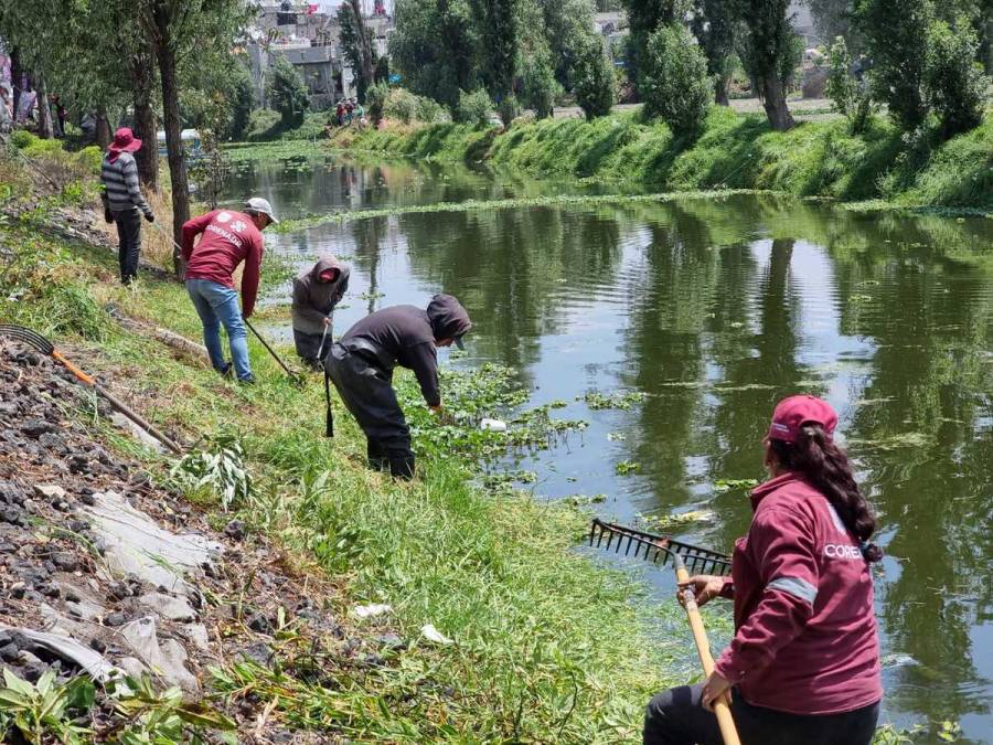 Limpieza de canales y mantenimiento en la red hídrica permite mejoras en la actividad agrícola