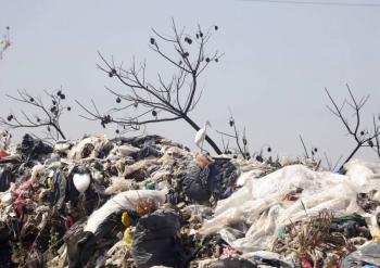 En Veracruz se generan aproximadamente 8 mil toneladas de basura, alertan