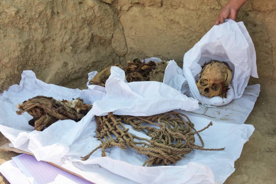 Hallan momia de adolescente de unos 800 años en Perú