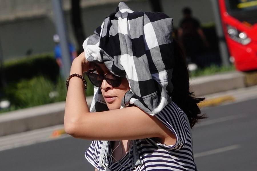 Se prevé una máxima de 29 grados en CDMX