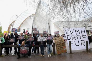 Ambientalistas lanzan pintura a la Fundaci&oacute;n Louis Vuitton en Francia